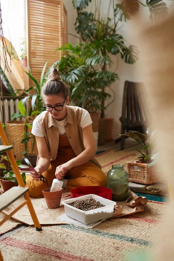 Les meilleures plantes pour un jardin basse maintenance ?